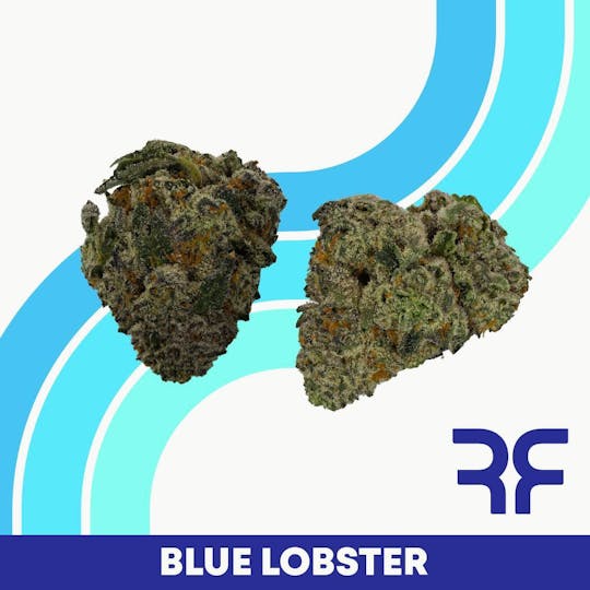 REEF Cannabis - Blue Lobster Small Buds - 1