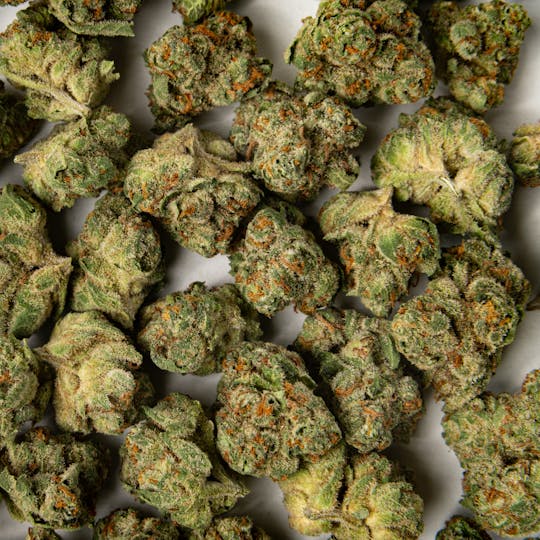 Time Machine - Cheetah Piss Sativa (3.5g) - 1