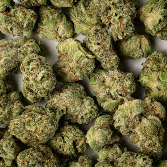 Time Machine - SDK Sativa (3.5g) - 1