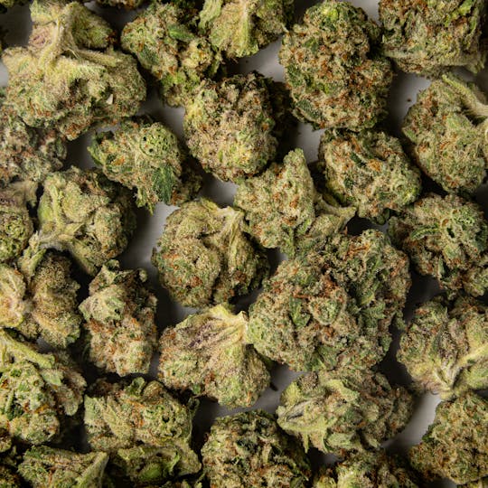 Time Machine - Pomelo Indica (3.5g) - 1