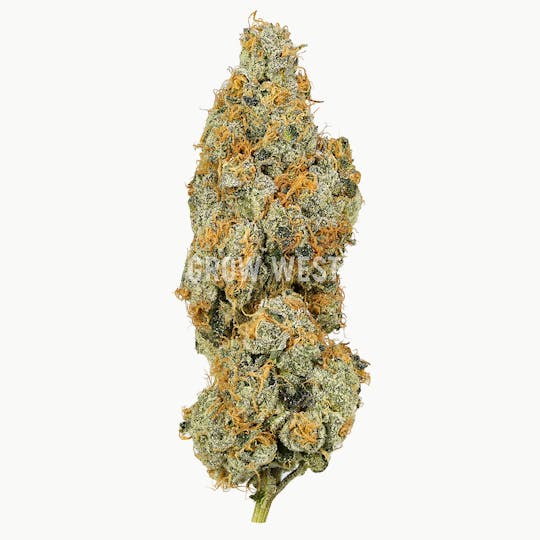 Grow West Cannabis Company - Black Maple | Premium | Hand-Trimmed Flower - 1