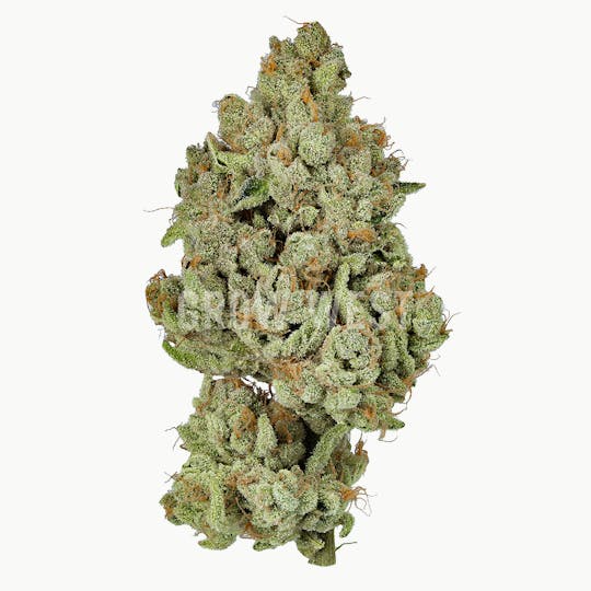 Grow West Cannabis Company - Starburst | Premium | Hand-Trimmed Flower - 1