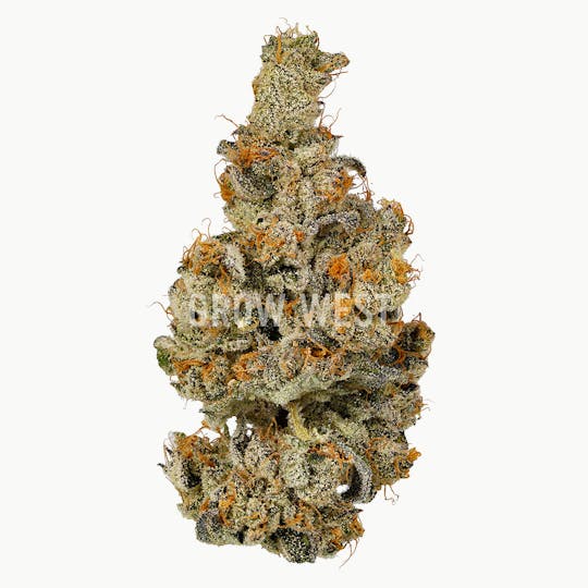 Grow West Cannabis Company - Lemondary | Gold | Trimmed Flower - 1