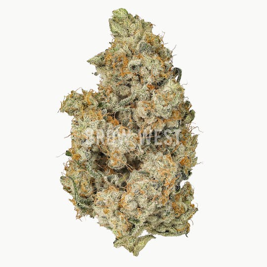 Grow West Cannabis Company - Strawguava | Gold | Trimmed Flower - 1