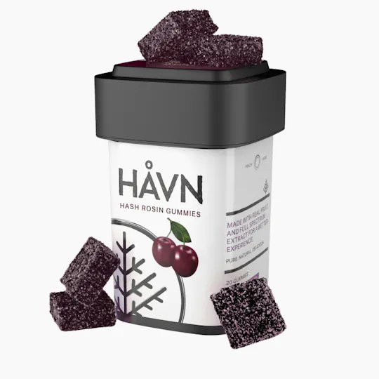 HAVN - Black Cherry Gummies | 100mg | 20ct | 5mg/ea - 1
