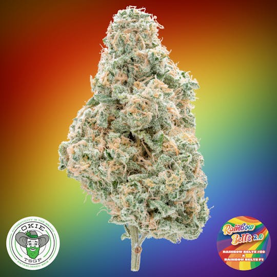 Okie TSGP - Rainbow Belts 2.0 - 3.5g Prepack Flower - 1