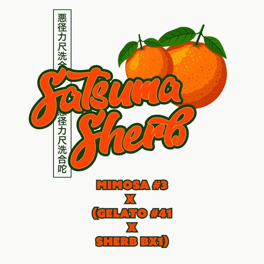Okie TSGP - Satsuma Sherb - 4g - Live Hash Rosin Batter - 1