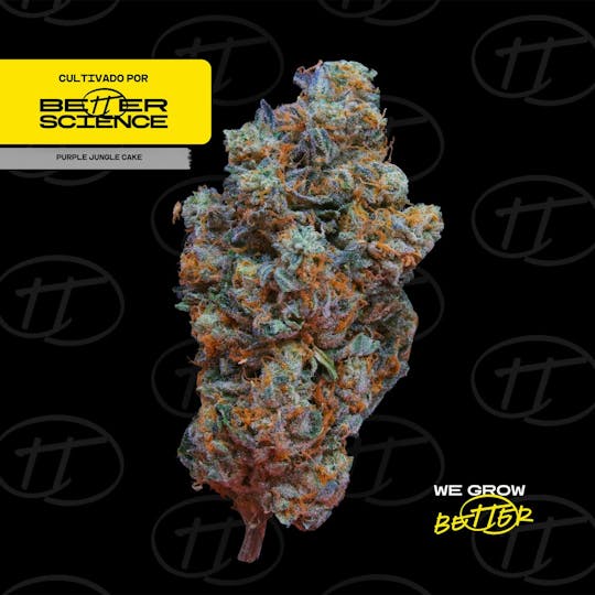 Better Science - BSC - Purple Jungle Cake - 1