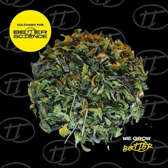 Better Science - BSC - Lemon Shiv (SHAKE) - 1