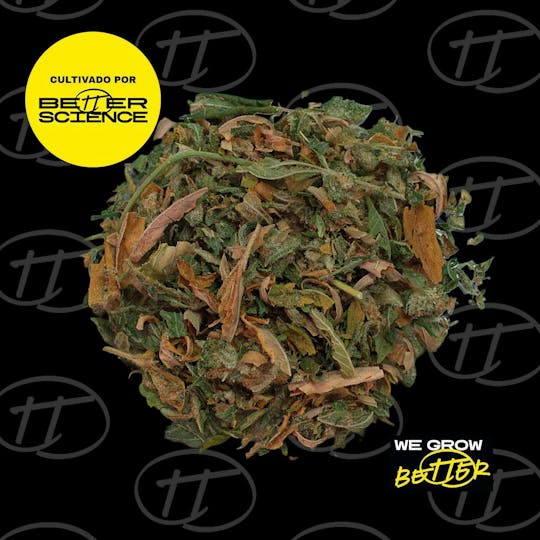 Better Science - BSC - Purple Jungle Cake - Shake - 1