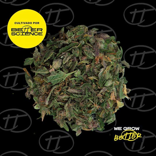 Better Science - BSC - Tropicana Punch 6 - Shake - 1
