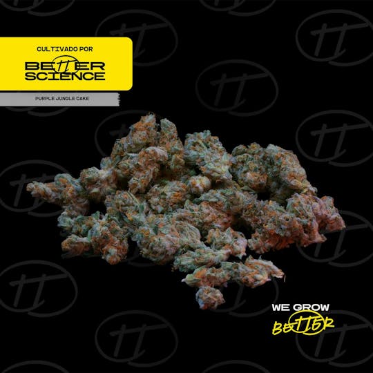 Better Science - BSC - Purple Jungle Cake - 1