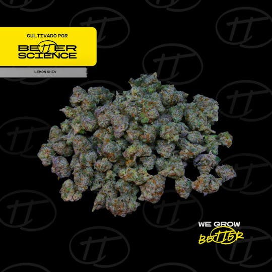Better Science - BSC - Lemon Shiv - 1