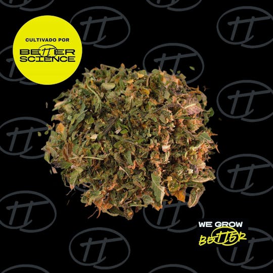 Better Science - BSC - OG Kings (SHAKE) - 1