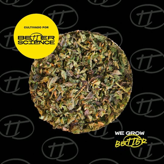 Better Science - BSC - Da Funk Shake - 1