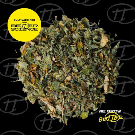 Better Science - BSC - Skelly OG Shake - 1