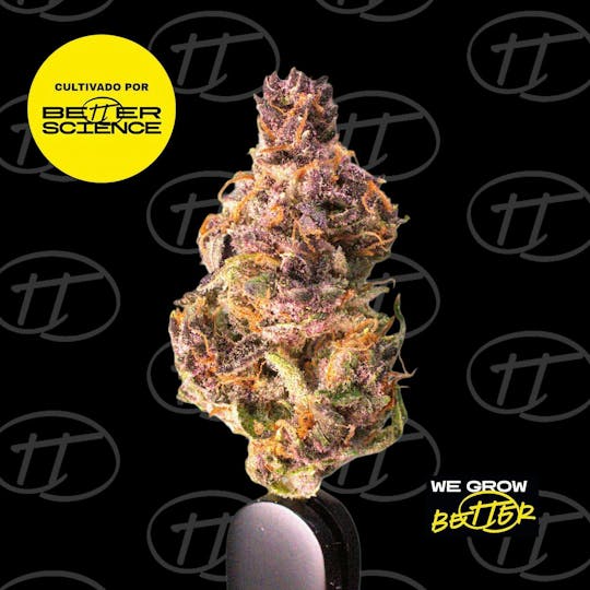 Better Science - BSC - Tropicana Punch 6 - 1