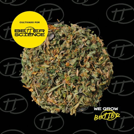 Better Science - BSC - Bootylicious Shake - 1