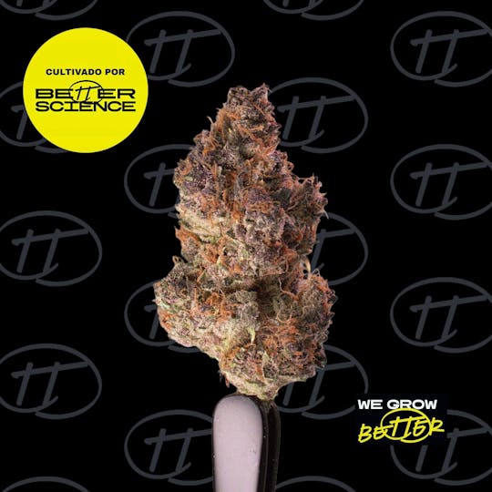 Better Science - BSC - Tropicana Punch 6 - 1