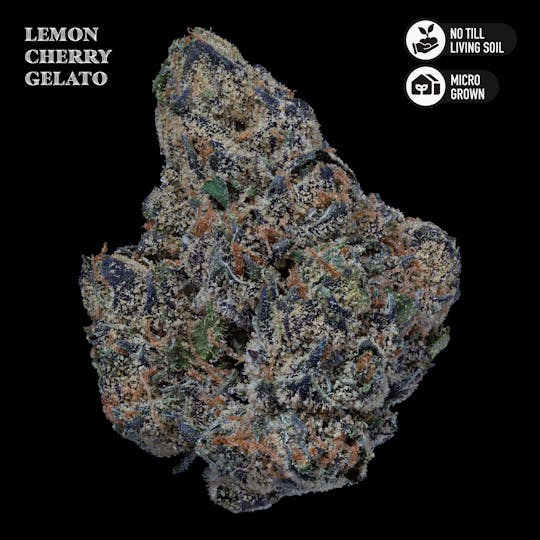 Royal Genetics - Lemon Cherry Gelato Living Soil Flower - 1