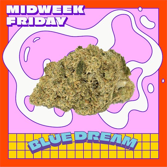 Midweek Friday - Blue Dream Smalls | 7g - 1