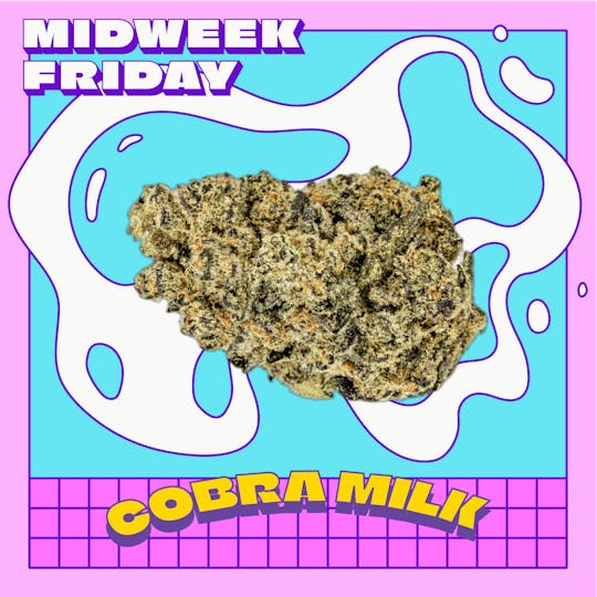 Midweek Friday - Cobra Milk Smalls | 7g - 1