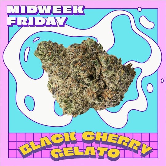 Midweek Friday - Black Cherry Gelato Smalls | 7g - 1