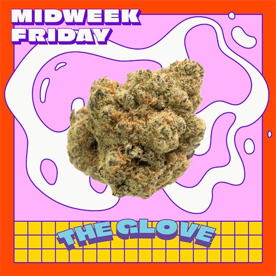 Midweek Friday - The Glove Smalls | 14g - 1