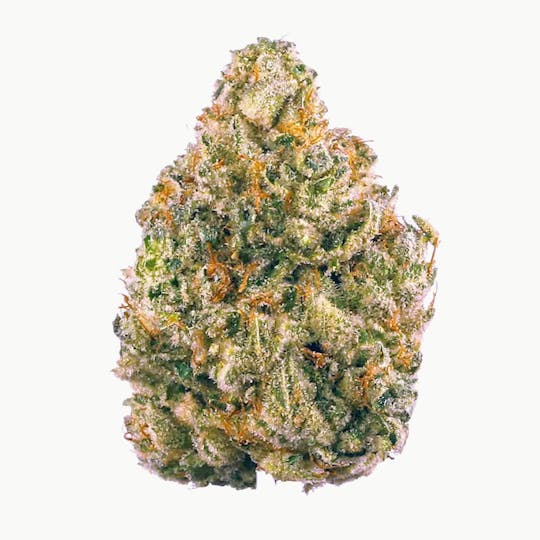 Don Verde - Gelato Grape Pie (Indica) - 1