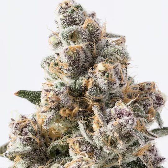 Don Verde - Super Boof (Hybrid) - 1