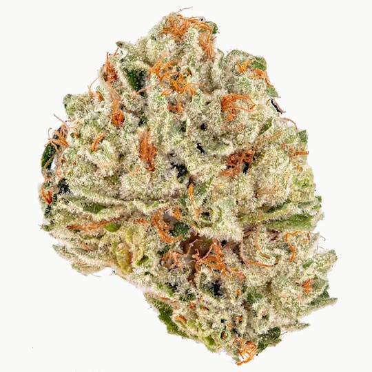 Don Verde - Julius Caesar (Hybrid) - 1
