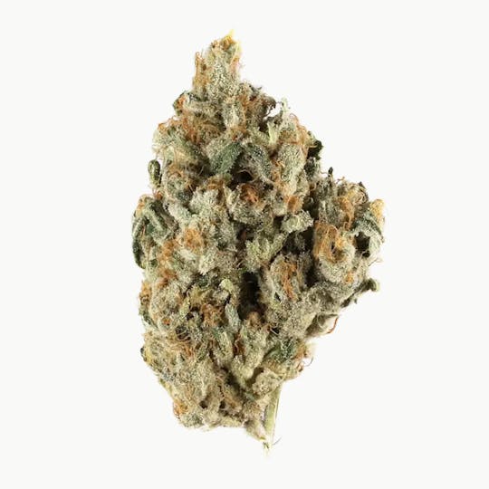 Don Verde - Sugar Cane (Sativa) - 1