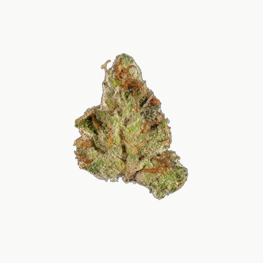 Silver Lake - Tangilope - Flower - 7G - 1