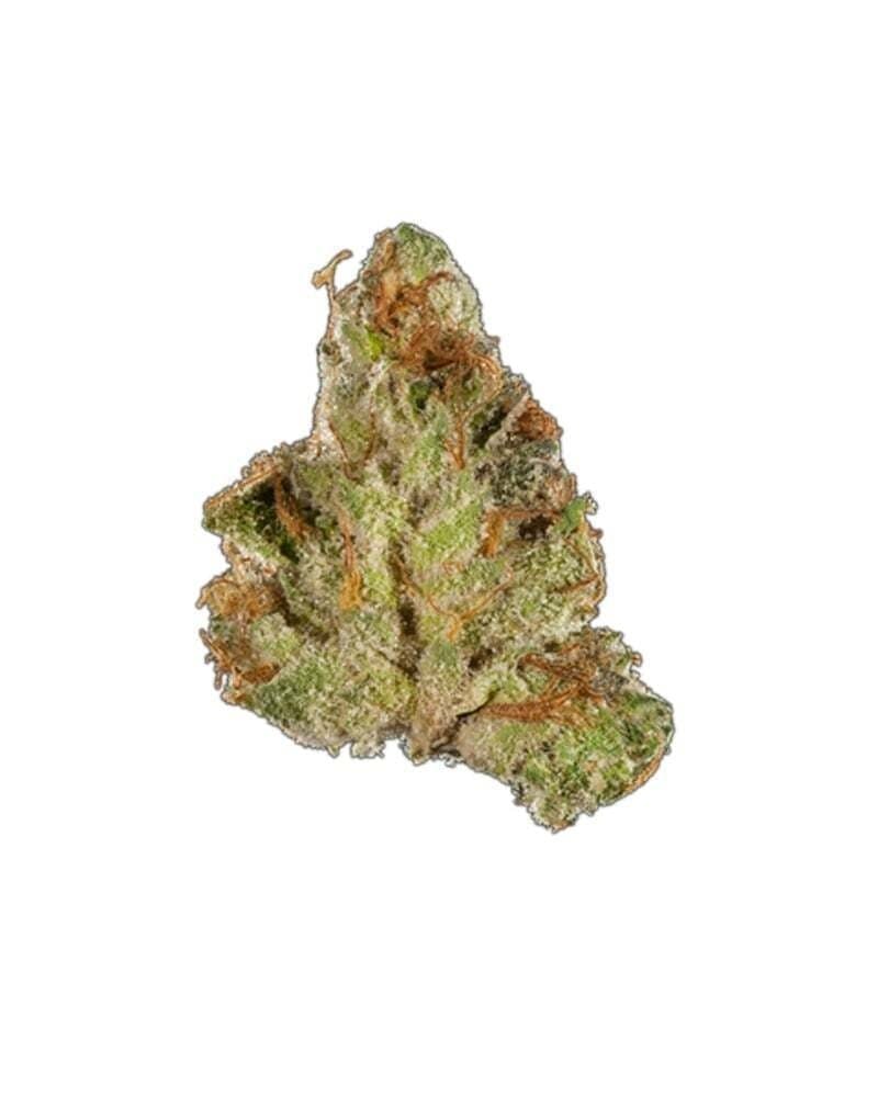 Silver Lake - Tangilope - Flower - 28G - 1