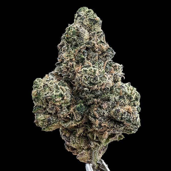 Bloom County - Gelateria - 3.5g Flower - 1