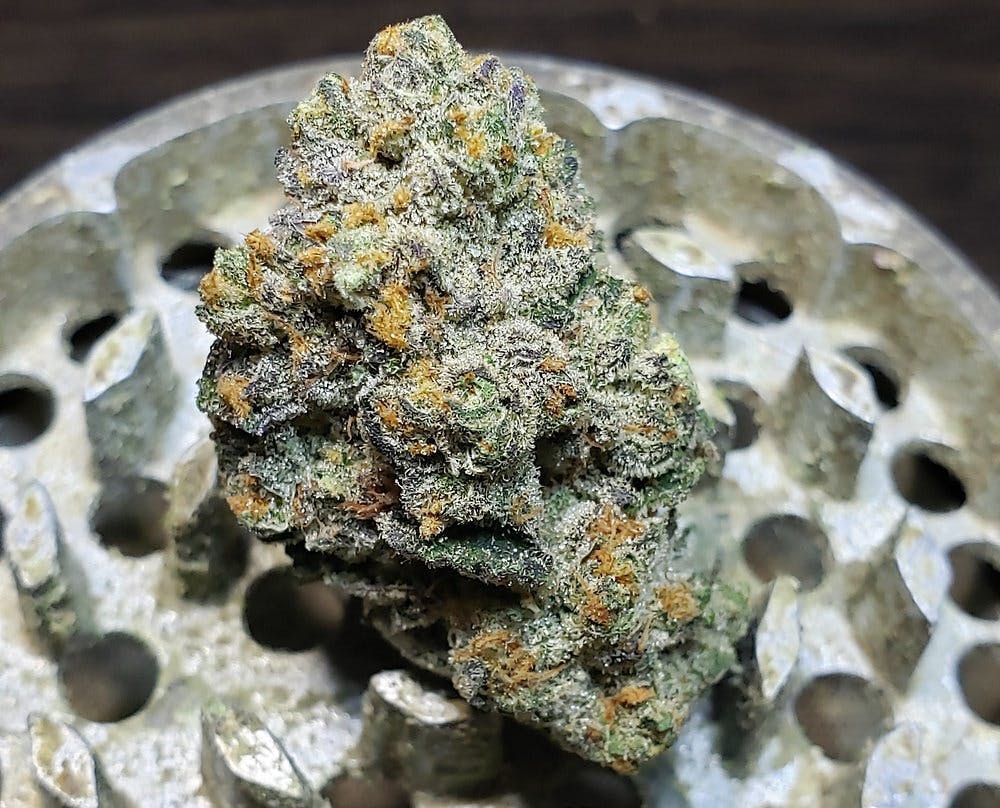 Bloom County - Grape Gasoline - 3.5g Flower - 1