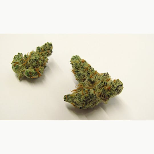 Bloom County - Mint Smash - 3.5g Flower - 1