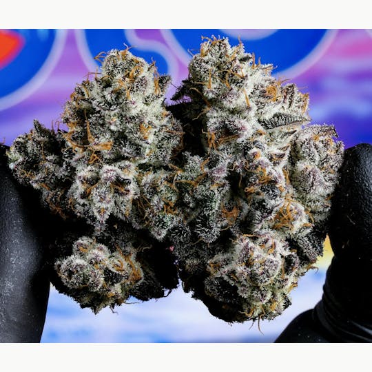 Bloom County - Deep Space - 3.5g Flower - 1