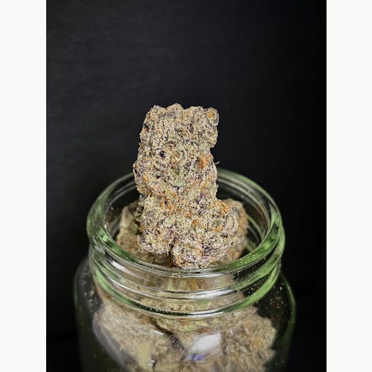 Bloom County - Hi-Chew - Bulk Flower - 1