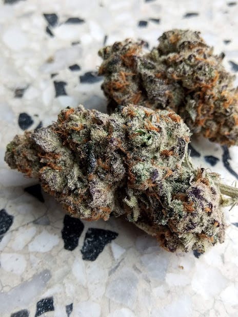 Bloom County - Peanut Butter Breath - Bulk Flower - 1