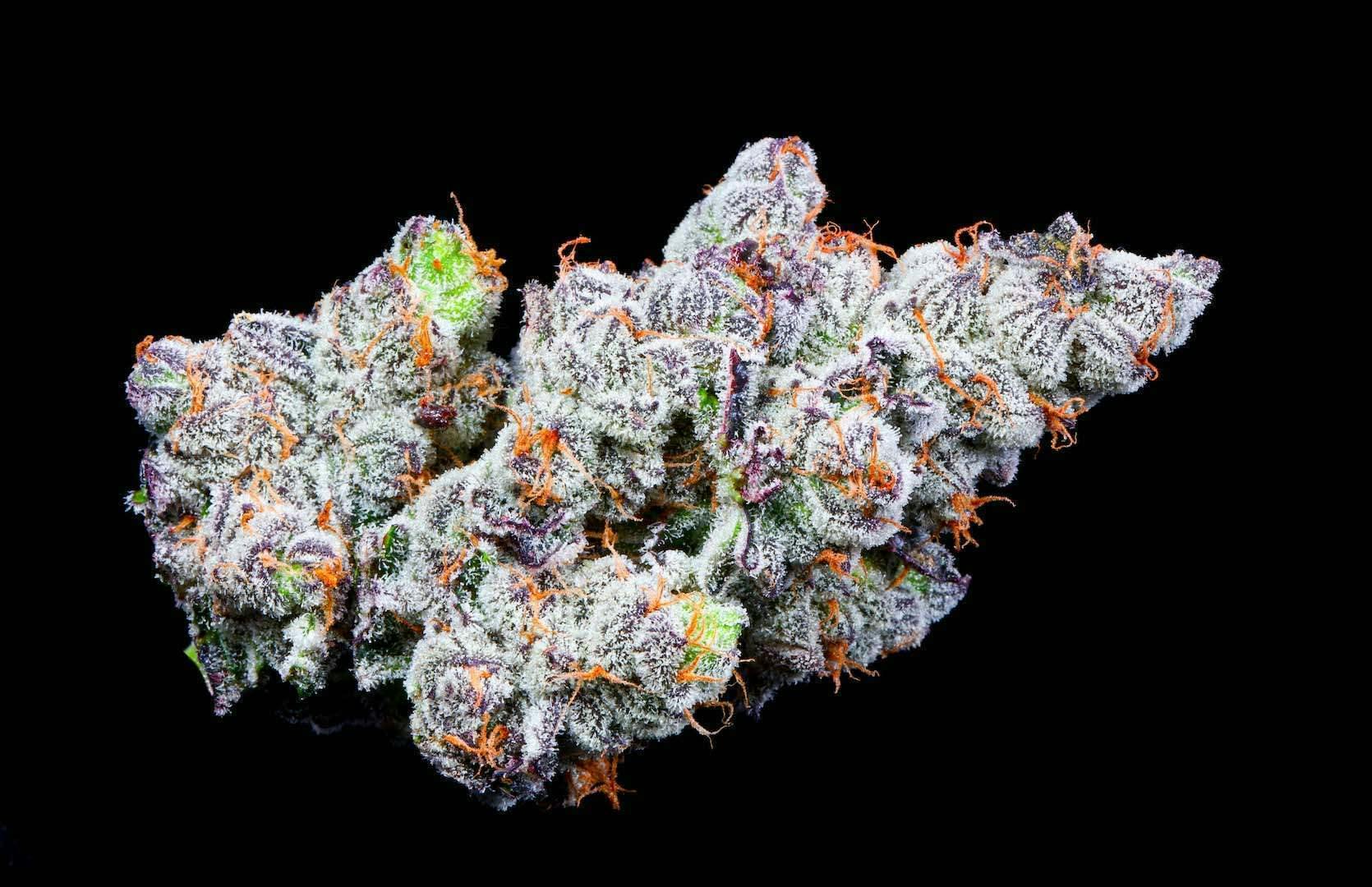 Bloom County - Modified Grapes - Bulk Flower - 1