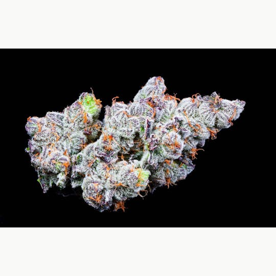 Bloom County - Modified Grapes - Bulk Flower - 1