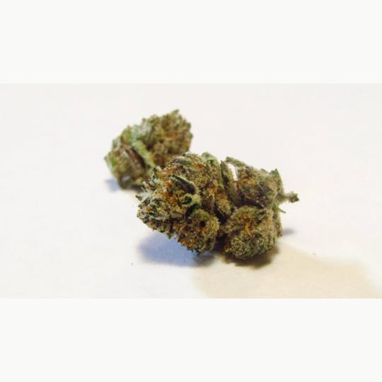 Bloom County - Mind Eraser - 3.5g Flower - 1