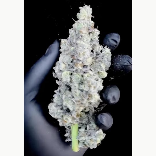 Bloom County - Joyride - 3.5g Flower - 1
