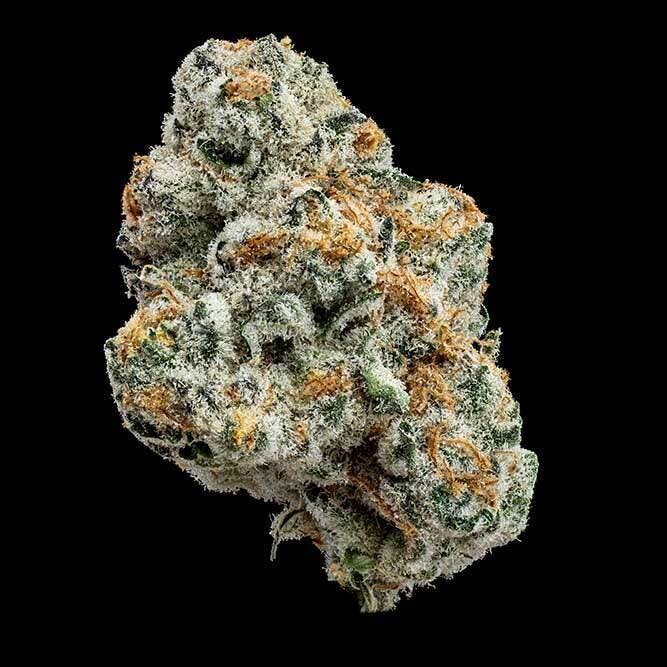 Bloom County - Punch Mints - 3.5g Flower - 1