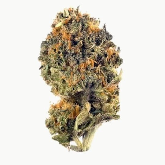 Bloom County - LA Kush Cake - Bulk Flower - 1