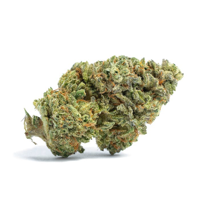 Bloom County - Golden Goat - 3.5g Flower - 1