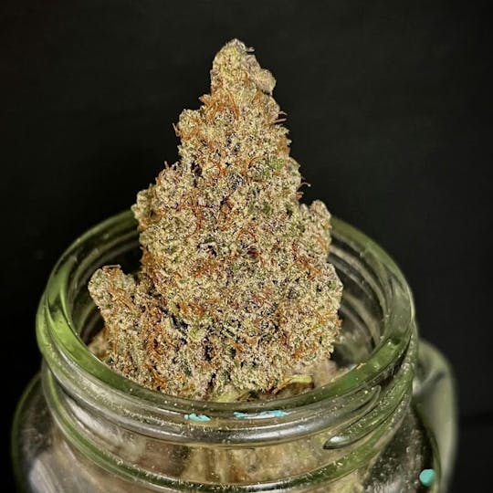 Bloom County - Berry Bubba - 14g Flower - 1