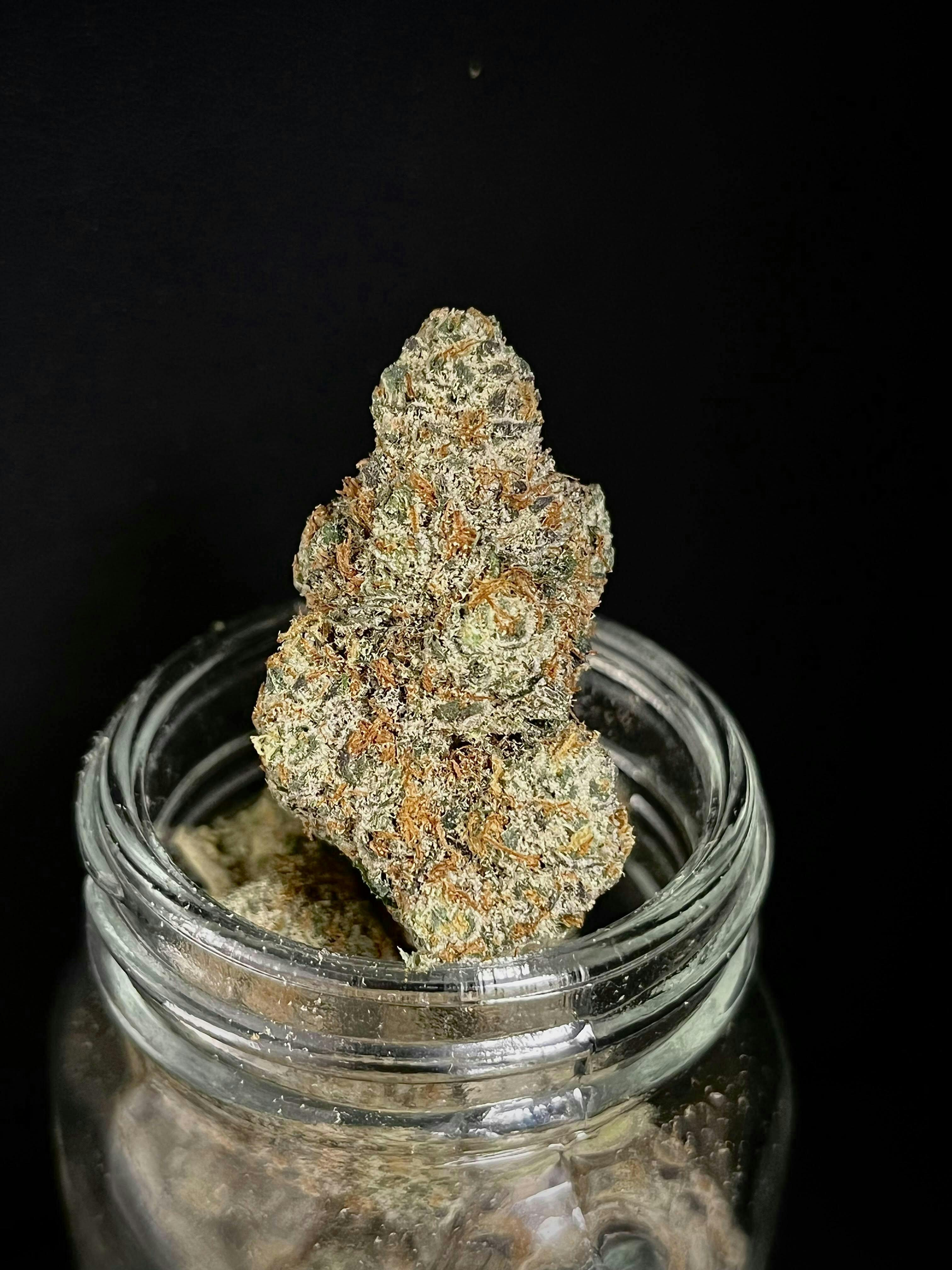 Bloom County - Agent Orange - Bulk Flower - 1