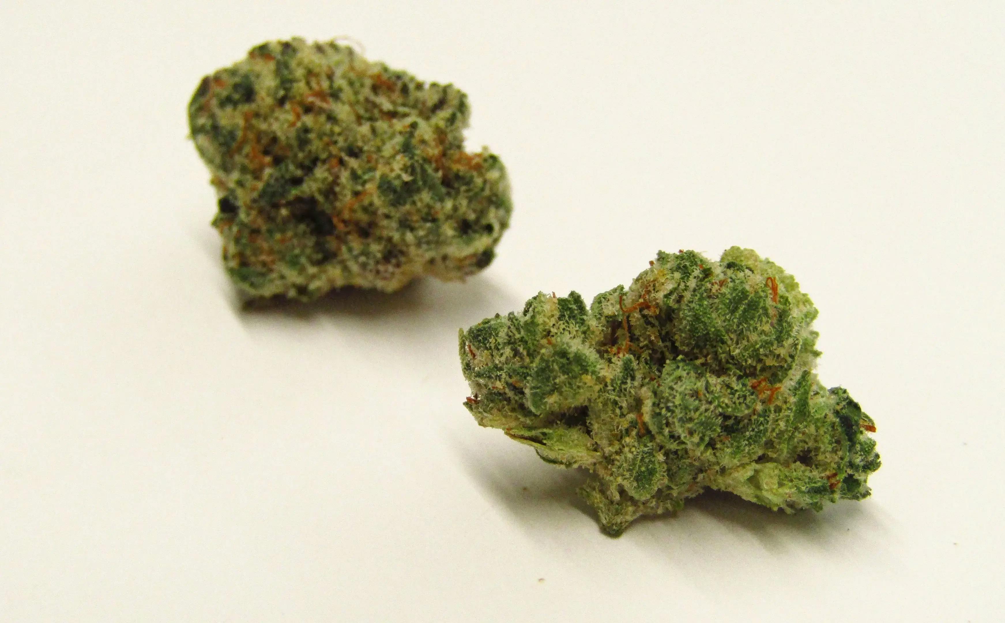 Bloom County - Peach Maraschino - 3.5g Flower - 1